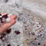 Cmendet moti! Stuhia e breshërit bënë NAMIN në vendin tonë (Video)