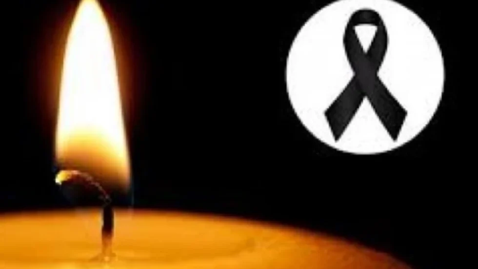 Lajmi i Fundit, Lajmet e Fundit - Big Brother Vip