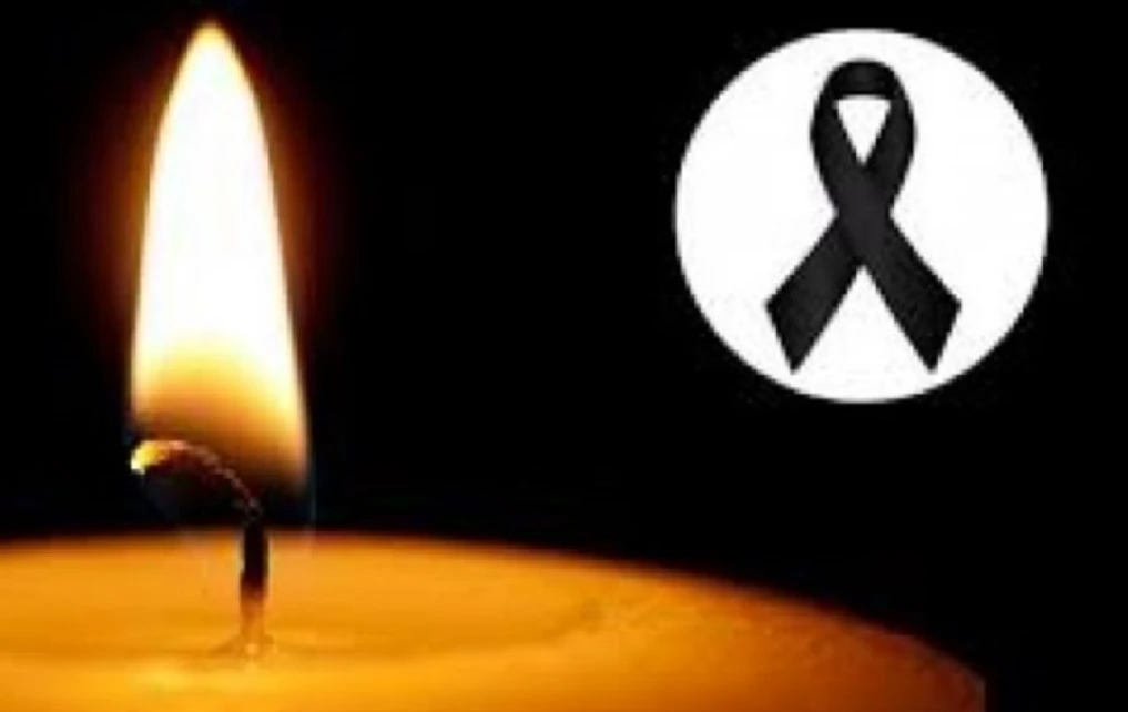 Lajmi i Fundit, Lajmet e Fundit - Big Brother Vip