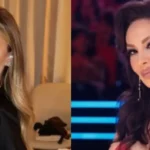 Plas keq mes Adelina Tahirit dhe Adelina Ismajlit, shkak bëhet Shpat Kasapi