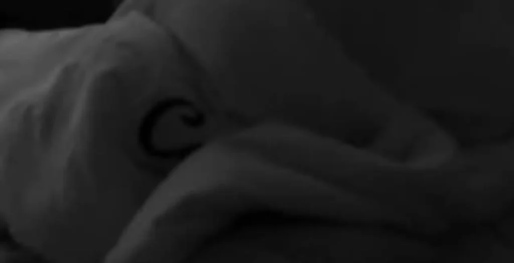 Banorët kryejnë marrëdhënie në BBVK? (Video)