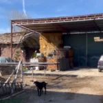 E rëndë në Maliq! 36 vjecarja tenton ti jap fund jetës, konsumon një sasi medikamentesh