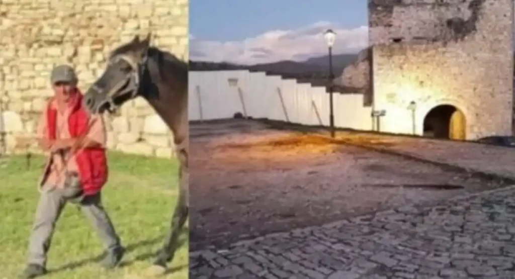 Për një foto me kalin, i mori jetën 42-vjeçarit para familjes, dëshmia e autorit: Më acaroi sepse …