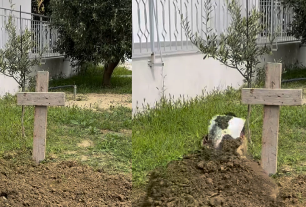CUDI E MADHE! V*rroset për dy klikime personazhi i njohur shqiptar, rrjeti shpërthen në komente (Video)