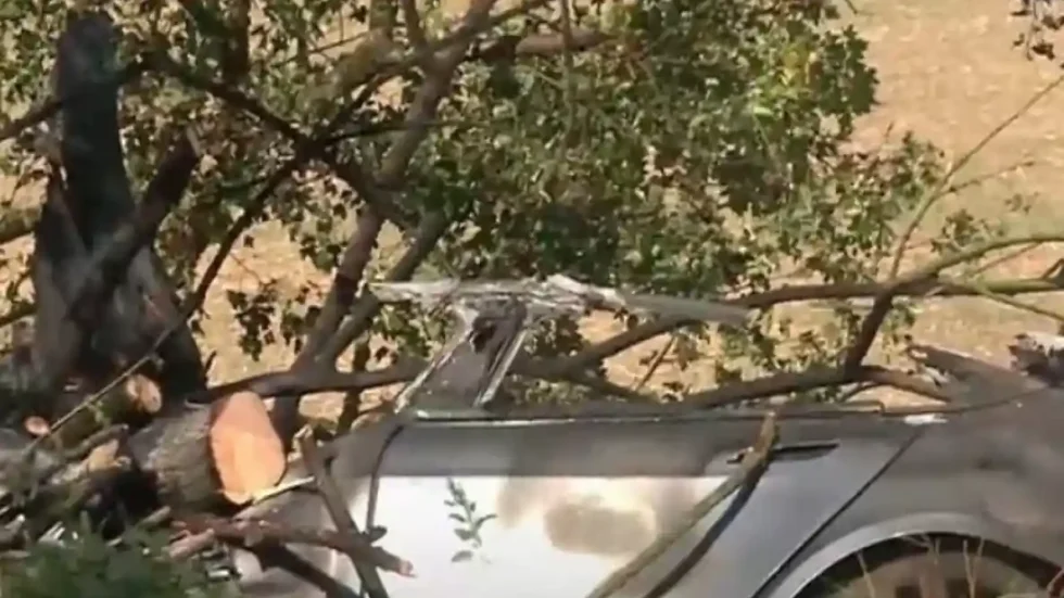 TRAGJIKE! Digjen të gjallë një burrë e 2 fëmijë pas aksidentit me makinë (DETAJE)