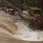 Situat e rëndë në vend! Fermerët në lot ‘Më kanë ngordhur 120 dhi, 60 keca dhe..’ Rëndohet bilanci në Jug!