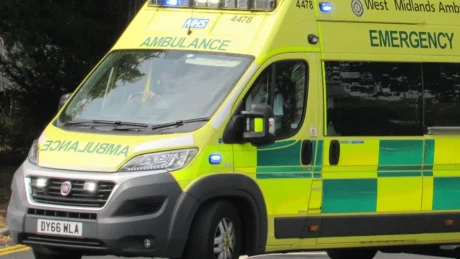 TRAGJIKE! Vëllezërit vr*sin motrën dhe partnerin e saj, shkak lidhja ndërfetare