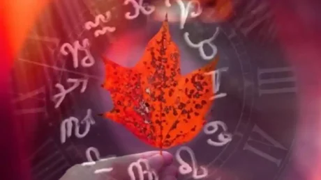 Nëntori sjell transformime të papritura: 4 shenja që do përjetojnë ndryshime të mëdha personale