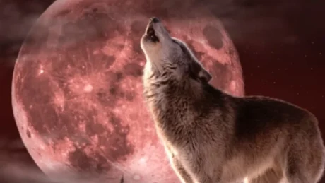 Bëni kujdes! Hëna e Ujkut pritet të ndikojë fuqishëm në rrugëtimin e këtyre shenjave