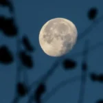 Hëna e Plotë e 5 Dhjetorit sjell mbarësi dhe rritje në karrierë! Këto janë 4 shenjat e horoskopit që do të ndikohen më shumë