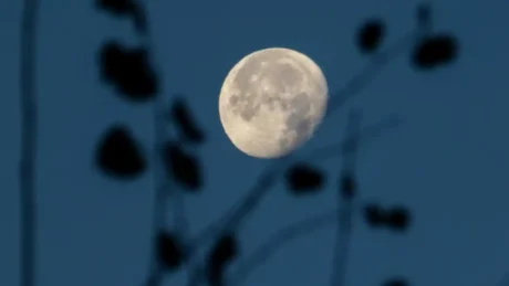 Hëna e Plotë e 5 Dhjetorit sjell mbarësi dhe rritje në karrierë! Këto janë 4 shenjat e horoskopit që do të ndikohen më shumë