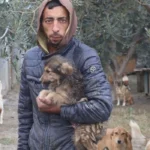 Jetoi me qentë, vd*q mes tyre/ Ndërron jetë në kasollen e varfër Fredi, kujdesej për 200 qen endacakë!